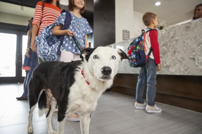 Staybridge Suites Coeur D'Alene By Ihg Ngoại thất bức ảnh